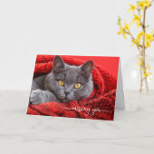 Missing You Gray Cat in a Red Knit Afghan Kaart (Gele Bloem)