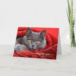 Missing You Gray Cat in a Red Knit Afghan Kaart