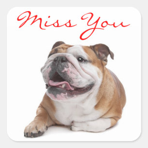 Missing You Happy Bulldog Puppy Dog Sticker
