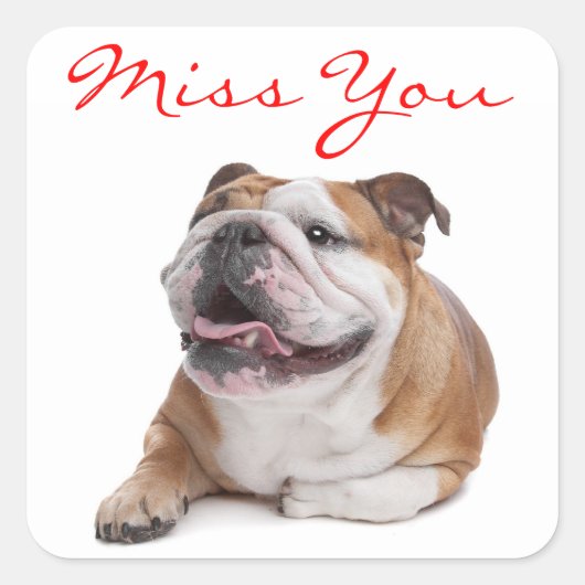 Missing You Happy Bulldog Puppy Dog Sticker (Voorkant)