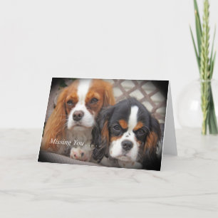 Missing You Kaart Cavalier King Charles