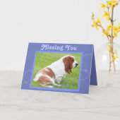  "Missing You" Kaart met Schattigee Basset (Gele Bloem)