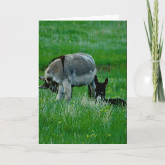 Missing You natuur scene kaart (Voorkant)