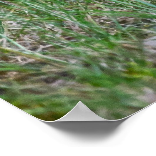 "Missing you" Permanent Juvenile Squirrel Poster (Hoek)