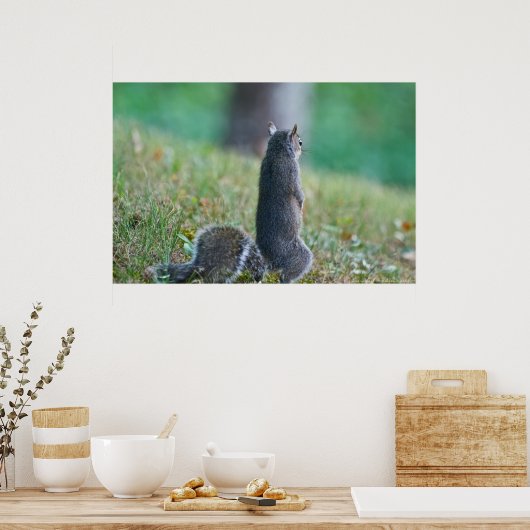 "Missing you" Permanent Juvenile Squirrel Poster (Keuken)