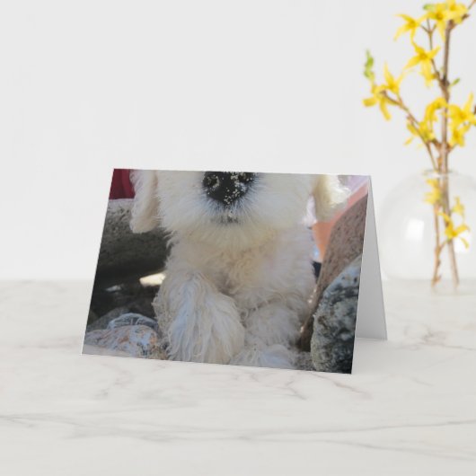 Missing You, Romantisch met Schattigee Goldendoodl Kaart (Gele Bloem)