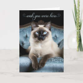 Missing You Siamese Cat on a Blue Chair Kaart