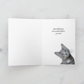 Missing You Thinking of You Curious Cat Kaart (Binnen)