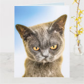 MISSING YOU VERDRIETIGE CUTE KAT KAART (Gele Bloem)