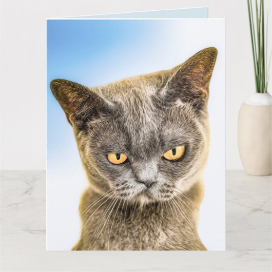 MISSING YOU VERDRIETIGE CUTE KAT KAART (Voorkant)