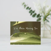 "Missing you", waterdruppel op Banana Leaf, foto Briefkaart (Staand voorkant)