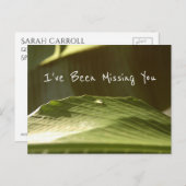"Missing you", waterdruppel op Banana Leaf, foto Briefkaart (Voorkant / Achterkant)