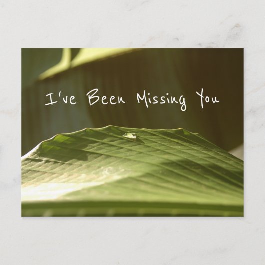 "Missing you", waterdruppel op Banana Leaf, foto Briefkaart (Voorkant)