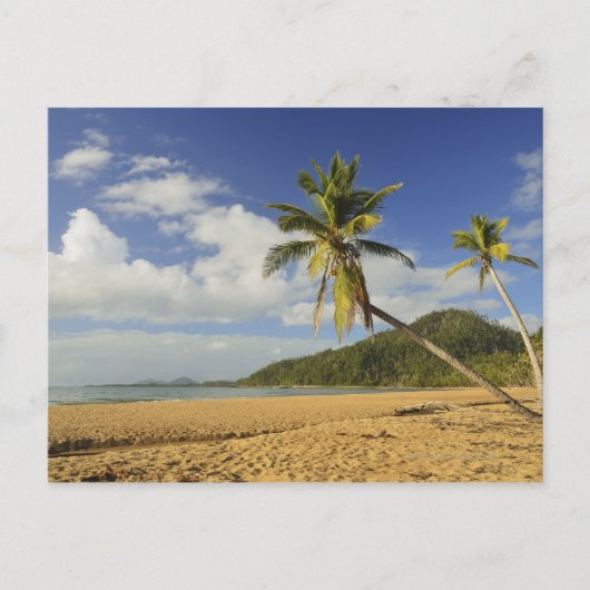 Mission Beach Briefkaart (Voorkant)