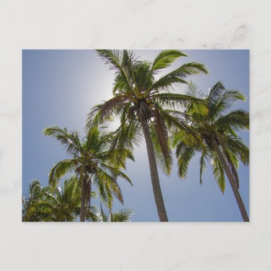 Mission Beach Briefkaart (Voorkant)