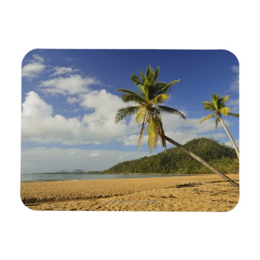 Mission Beach Magneet (Horizontaal)