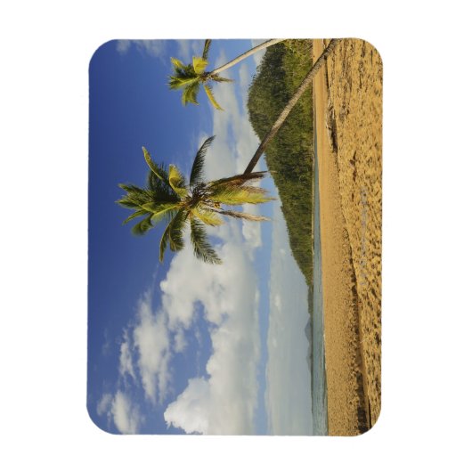 Mission Beach Magneet (Verticaal)