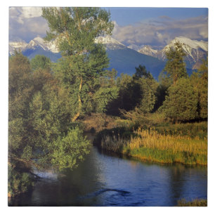 Mission Creek in het National Bison Range in Tegeltje