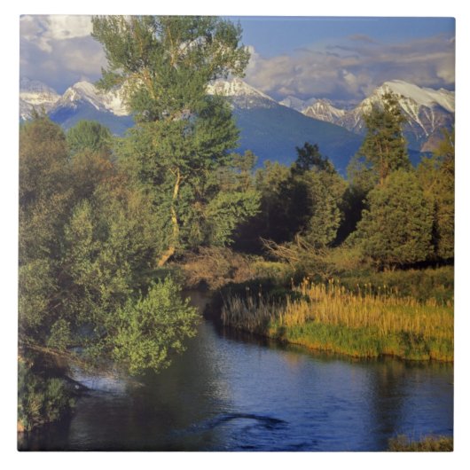 Mission Creek in het National Bison Range in Tegeltje (Voorkant)