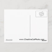 Mission San Francisco de Asís California Producten Briefkaart (Achterkant)