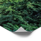 Mission San Luis Obispo de Tolosa Poster (Hoek)