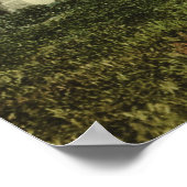 Mission San Miguel Arcangel 1898 Poster (Hoek)