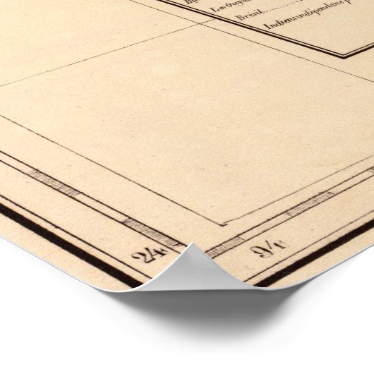 Mississipi River 61 Poster (Hoek)