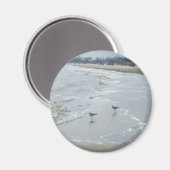 Mississippi Beach Magnet #2 (Voorkant / Achterkant)