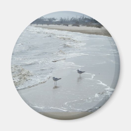 Mississippi Beach Magnet #2 (Voorkant)