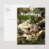 Mississippi Briefkaart (Voorkant / Achterkant)