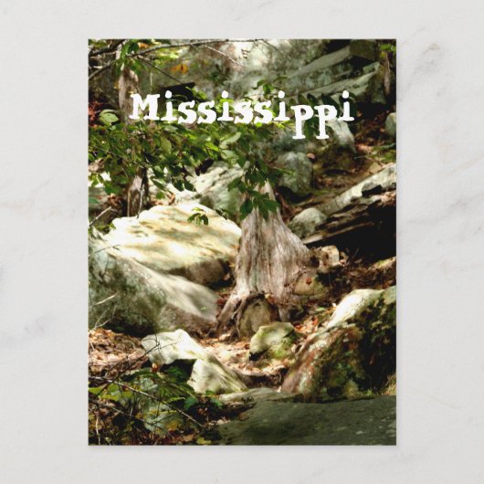 Mississippi Briefkaart (Voorkant)