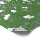 Mississippi Cotton Poster (Hoek)