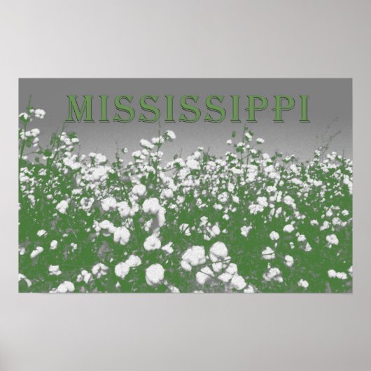 Mississippi Cotton Poster (Voorkant)