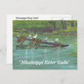 Mississippi Gulls Briefkaart (Voorkant / Achterkant)
