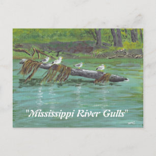 Mississippi Gulls Briefkaart