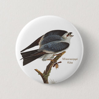 Mississippi Kite, John James Audubon Birder's Bird Ronde Button 5,7 Cm