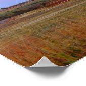 Mississippi Limoen - Hier komen we! II) Poster (Hoek)