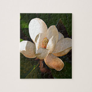 Mississippi Magnolia Legpuzzel