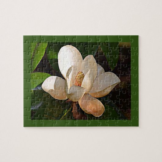 Mississippi Magnolia Legpuzzel (Horizontaal)