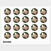 Mississippi Magnolia Ronde Sticker (Vel)