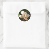 Mississippi Magnolia Ronde Sticker (Tas)
