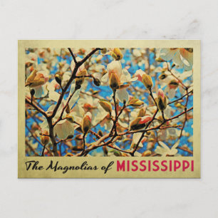 Mississippi Magnolias Briefkaart