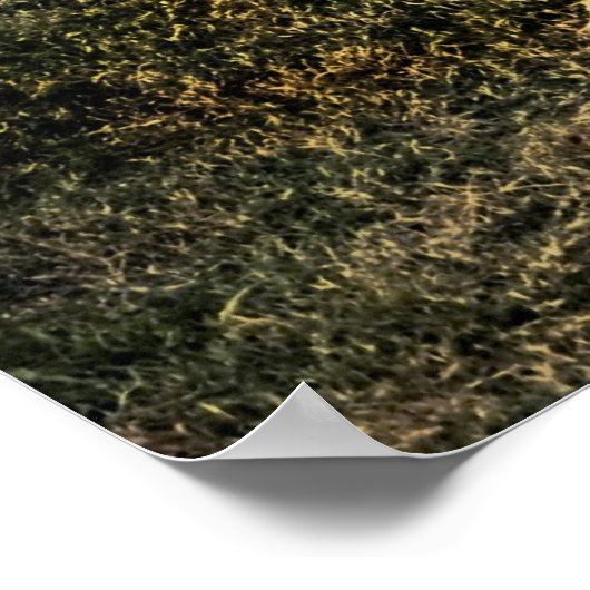 Mississippi Moonwalk Poster (Hoek)