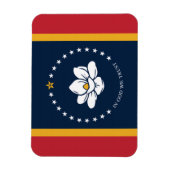 mississippi nieuwe vlag vs verenigde staten americ magneet (Verticaal)
