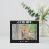 Mississippi Red Fox Briefkaart (Staand voorkant)