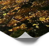 Mississippi River, herfst, Poster (Hoek)