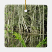 Mississippi River Iowa Banks Keepomwille Ornament (Achterkant)