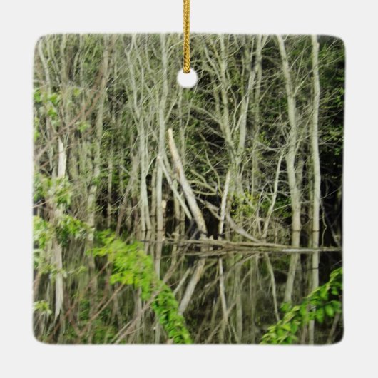 Mississippi River Iowa Banks Keepomwille Ornament (Achterkant)