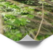 Mississippi River Tree Reflections Poster (Hoek)