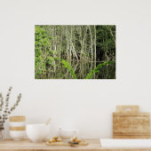 Mississippi River Tree Reflections Poster (Keuken)